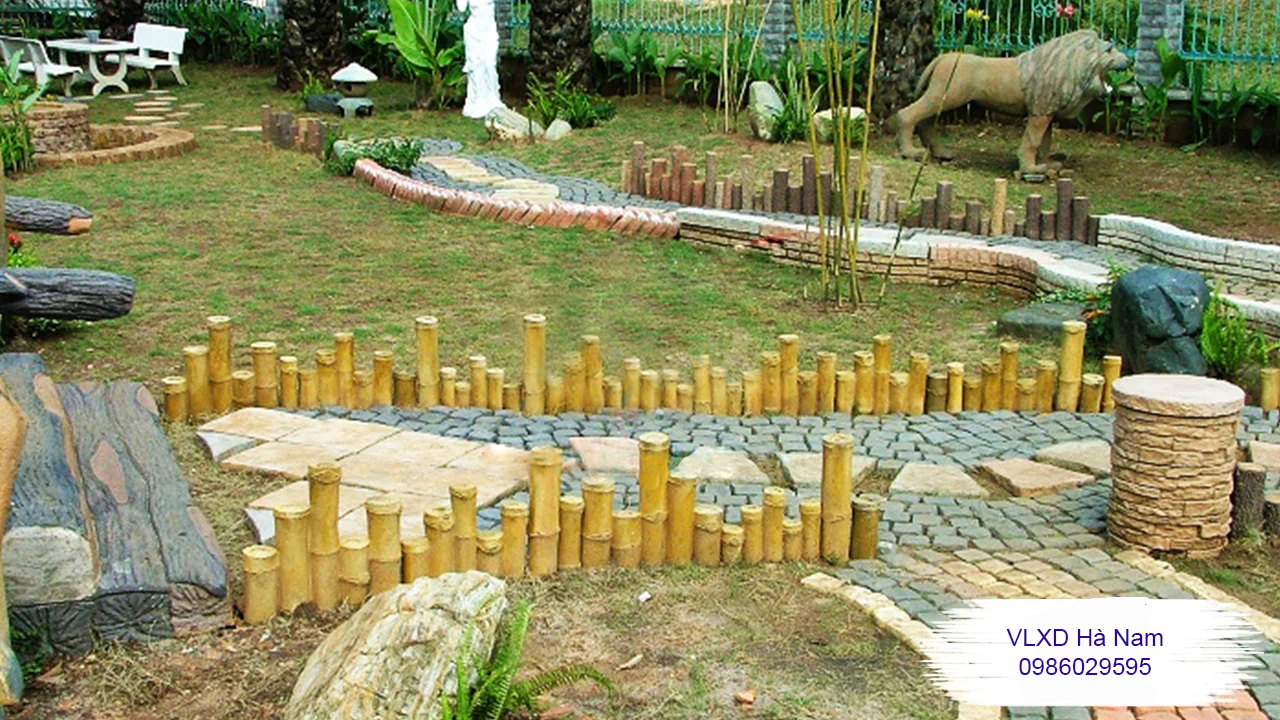 Cụm tre vàng 6 Cụm tre vàng - Ảnh 2