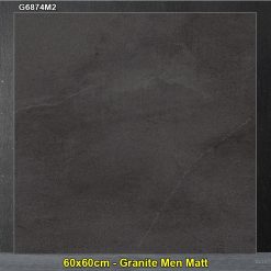 Gạch 60x60 Taicera G6874M2
