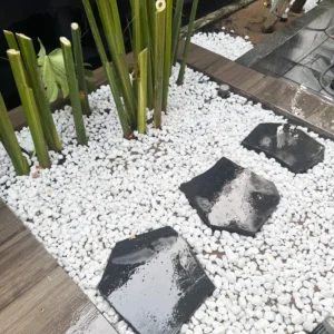 mẫu tiểu cảnh sân vườn rải sỏi trắng kết hợp đá thớt lát bước đi tự nhiên