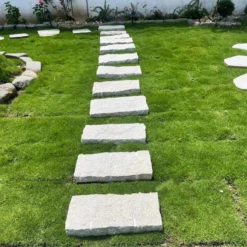 Đá chẻ Vũng Tàu kích thước 30x60cm làm đá bước dặm lát lối đi trên thảm cỏ xanh sân vườn