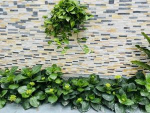 Đá ghép màu 10x50cm ốp tường tiểu cảnh sân vườn