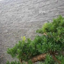 Đá ghép đen Đà Nẵng 10x50cm - Ảnh 4