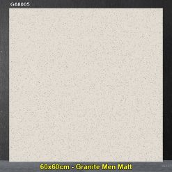 Gạch 60x60 Taicera G68005