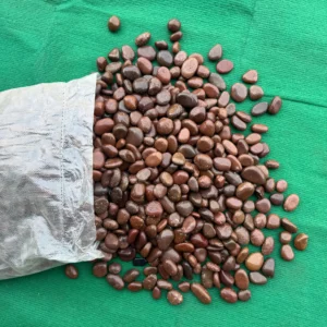 bao sỏi đỏ bóng nhập khẩu cao cấp với các viên sỏi màu đỏ nâu nhẵn mịn, sáng bóng dùng trong trang trí tiểu cảnh.