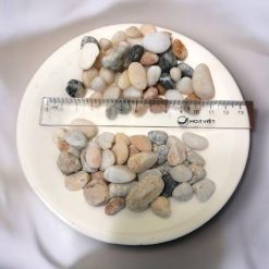 Sỏi biển đa màu bao 12kg - Ảnh 5
