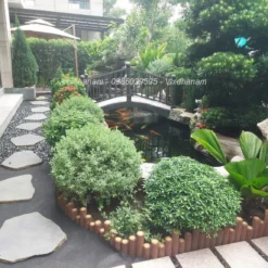 Sỏi đen bóng lát lối đi sân vườn kết hợp đá bước dạo