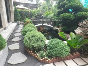 Sỏi đen bóng lát lối đi sân vườn kết hợp đá bước dạo