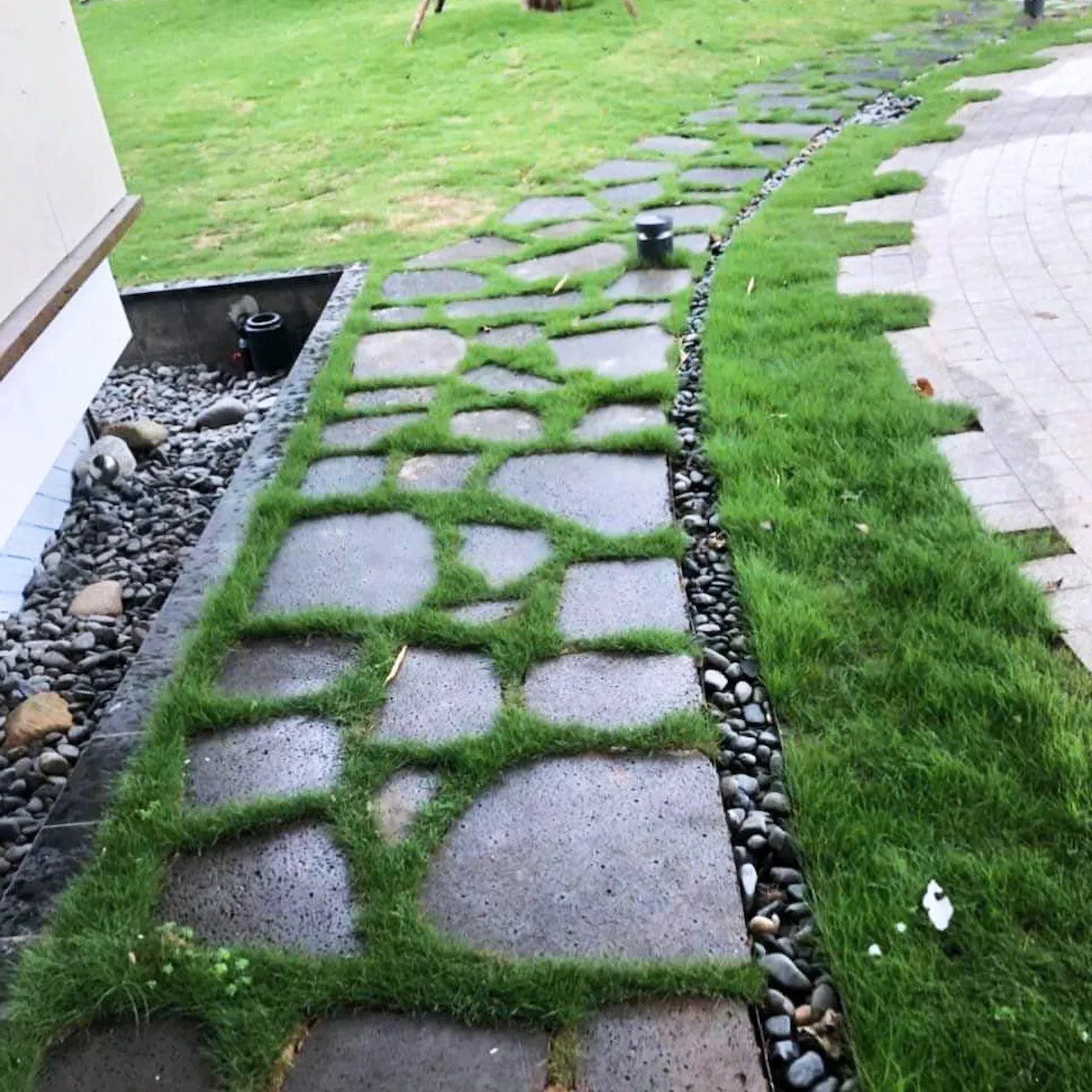 Đá thớt tổ ong - Đá bước dạo 19 Đá thớt tổ ong lát lối đi sân vườn kết hợp trồng cỏ tự nhiên xanh mát