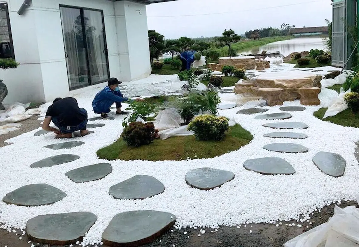 Mẫu sỏi trắng trang trí sân vườn kết hợp đá bước dạo lát lối đi đẹp tại TPHCM